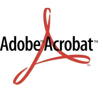 Acrobat Standard  2020 WIN SK NEW COM Lic 1+ (360)