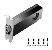 PNY VGA NVIDIA RTX 2000 ADA 16G, 16G GDDR6, 4xmDP