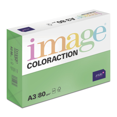 Antalis Papír Image Coloraction Dublin - tmavě zelená (DG47) A3 (80g/500ks)