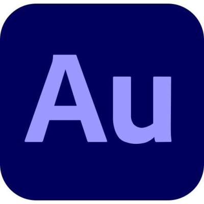 Audition for teams MP ML Government 1 User, 12 Months, Level 2, 10 - 49 Lic