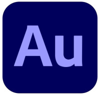 Audition for teams MP ML Government 1 User, 12 Months, Level 3, 50 - 99 Lic