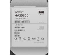 Synology 3,5" HDD HAS5300-8T (NAS) (8TB, SAS, 7200 RPM, 256MB)