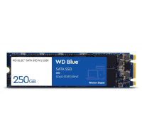 WD BLUE SSD 3D NAND WDS100T3B0B 1TB SA510 M.2 SATA, (R:560, W:520MB/s)