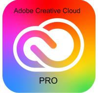 Adobe Creative Cloud Pro for teams MP ML (+CZ) Government 1 User, 12 Months, Level 2, 10 - 49 Lic