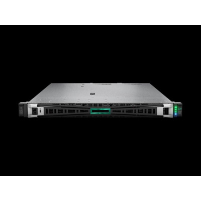 HPE PL DL145g11 8024P (2.4/8C) 32G 2SFF NS204i-u 2x1000W 4x1Gb