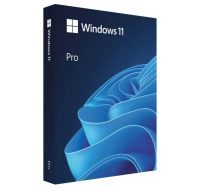 Windows Pro 11 64-bit Czech USB