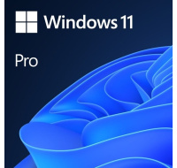 BAZAR - Windows 11 Pro 64Bit ENG OEM - Poškozený obal (Komplet)