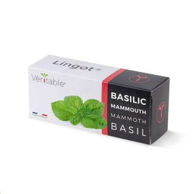 Véritable Lingot Bazalka mamutí