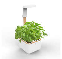 Véritable Botaneo - Automatický květináč + 2 bylinkové náplně