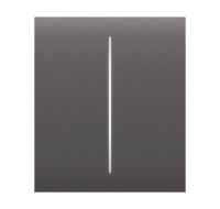 Ajax  CenterButton (2-gang) - Středové dvou tlačítko, šedá